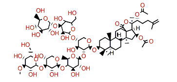 Cladoloside Q